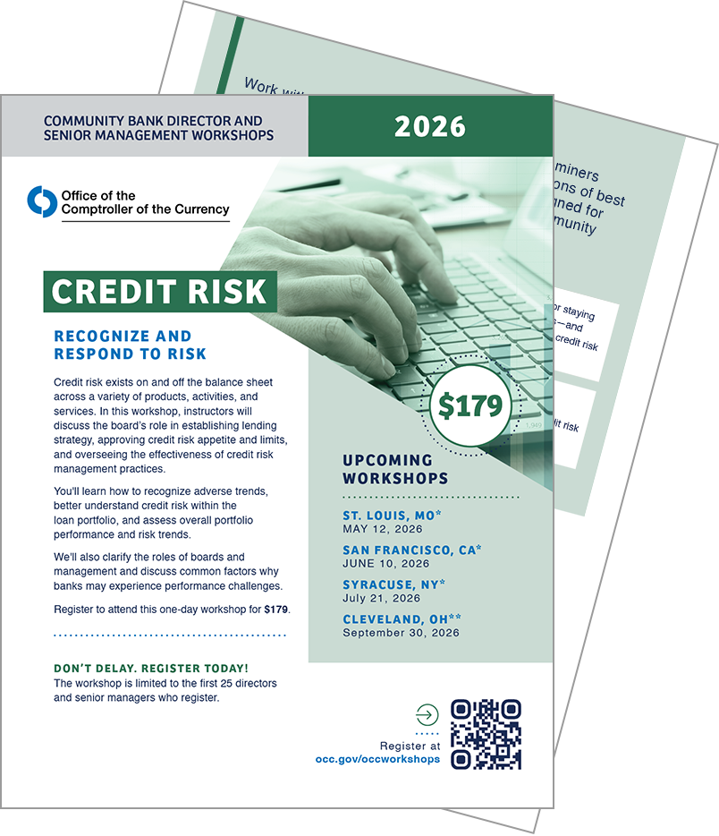 Credit Risk Brochure